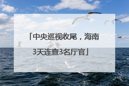 中央巡视收尾，海南3天连查3名厅官